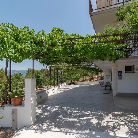 Nedjeljko * Trogir